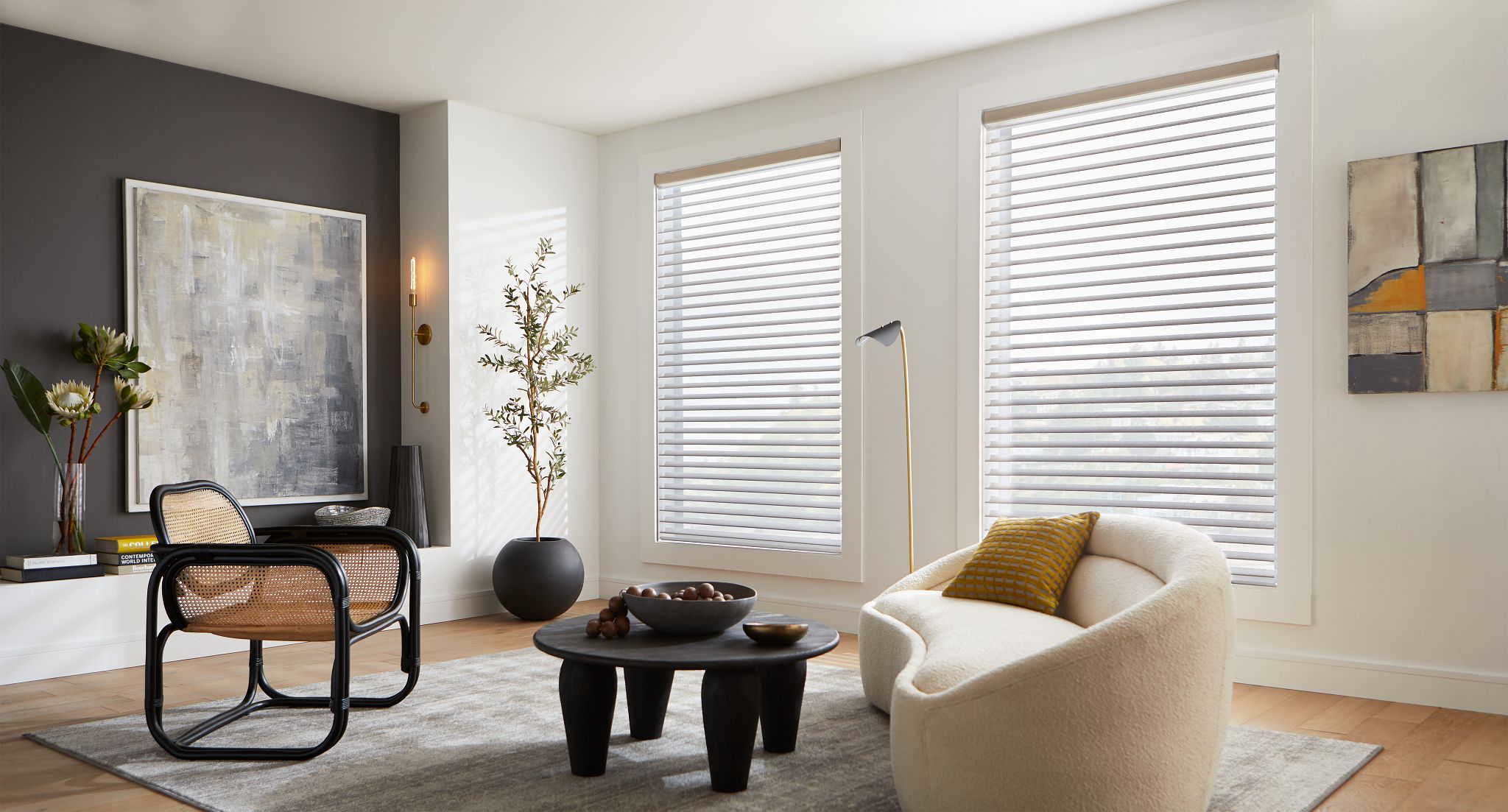 Automated Sheer Shadings with Black Wall